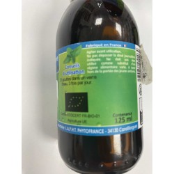 Extrait Hydroalcoolique de Bouillon Blanc 125 ml
