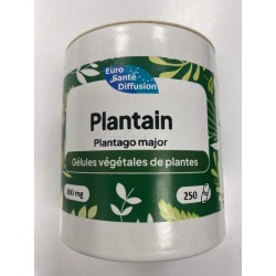 Plantain 250 gélules