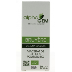 Bruyère
