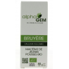 Bruyère