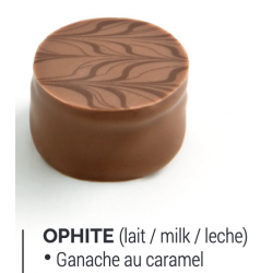 Ballotin Chocolats