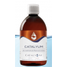 Catalyum (Anciennement Insuffisyon)