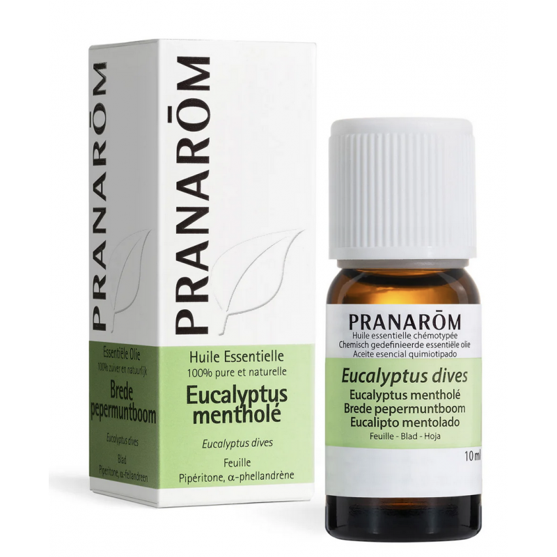 Huile Essenteille Eucalypstus Mentholé Bio 10 ml