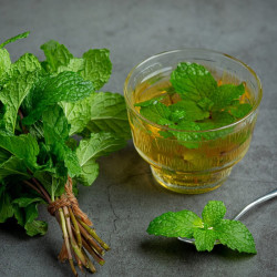 MENTHE POIVREE feuille BIO - Sachet vrac 100g