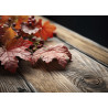 VIGNE ROUGE Feuille Bio - Sachet vrac 100g