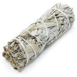 SAUGE ROUGE SANG du DRAGON Tresse  13 cm