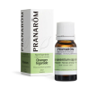 Huile Essentielle de Céleri Semence - 10 ml