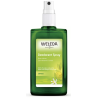 Déodorant Spray Citrus