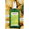 Déodorant Spray Citrus