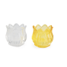 Contenant Tulipe Transparent/Jaune