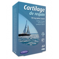 Cartilage requin