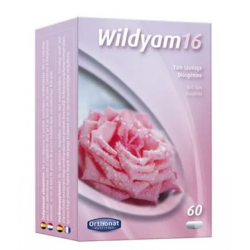 Wildyam 16