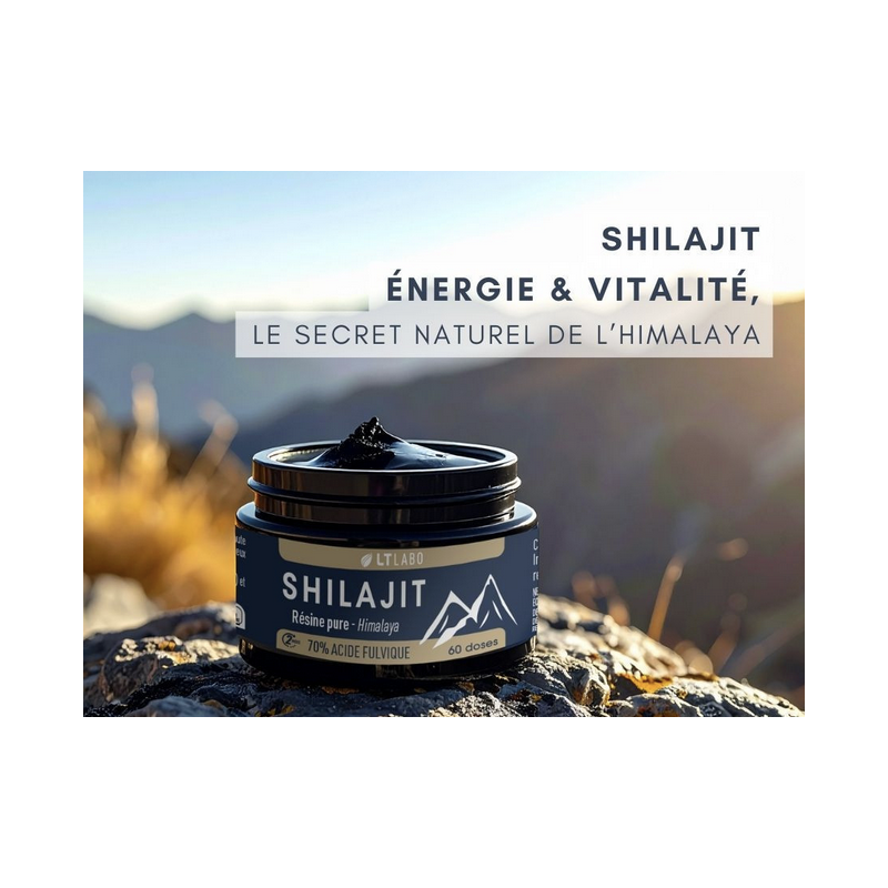 Shilajit Résine 70% d'acide fulvique - 30g
