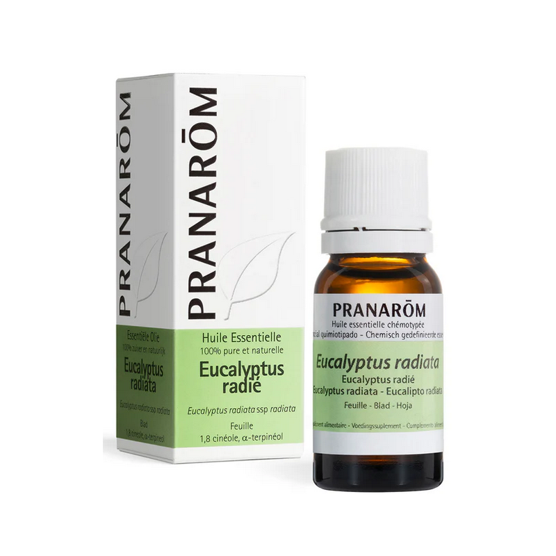 Huile Essentielle d'Eucalyptus radié Bio 10ml