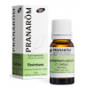 Huile Essentielle Ravintsara Bio 10ml