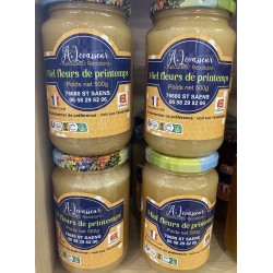 Miel Fleurs de Printemps 500g