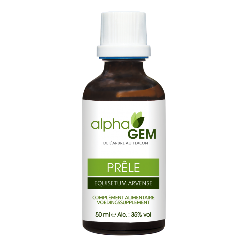 Prêle