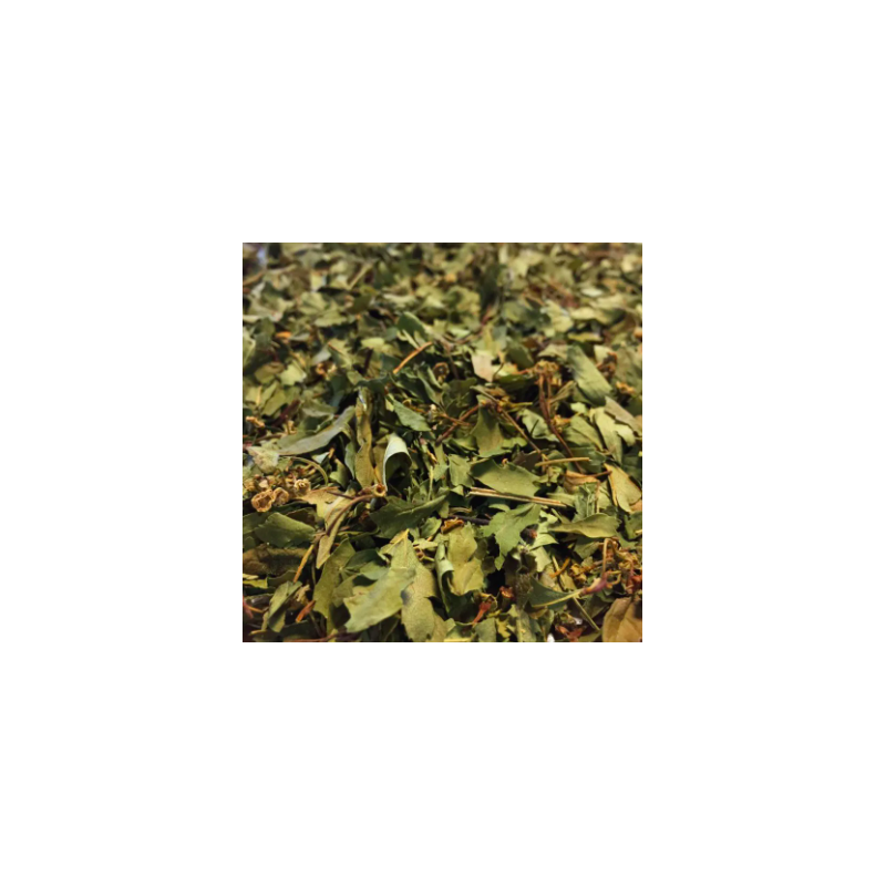 AUBEPINE somité fleurie - Sachet Vrac 100g