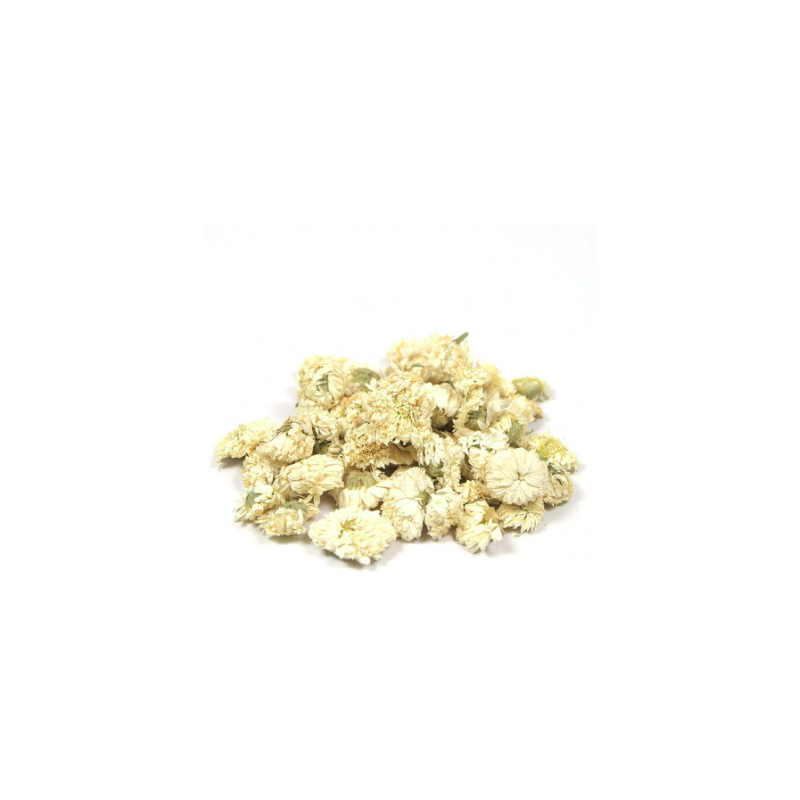 PISSENLIT Racine  BIO - Sachet vrac 100g