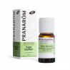 Huile Essentielle Sapin baumier BIO - 10ml