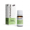 Huile Essentielle Romarin CT Verbénone BIO - 5ml