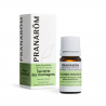 Huile Essentielle de Sarriette des Montagnes - 5ml