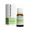 Huile Essentielle de Pin Sylvestre - 10ml