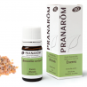 Huile Essentielle d’Encens Oleoresine BIO - 5ml