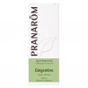 Huile Essentielle de Gingembre 5 ml