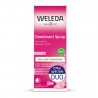 Déodorant Spray Rose Duo