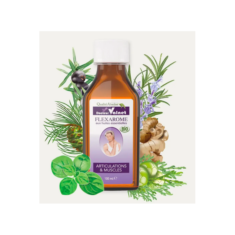 Flexarome 100 ml