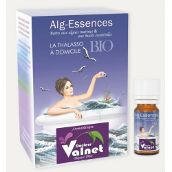 Alg-Essence